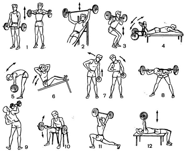Комплекс силовых упражнений. Силовой комплекс упражнений на мышцы. Комплекс силовых упражнений с гантелями. Комплекс силовых упражнений с отягощениями.