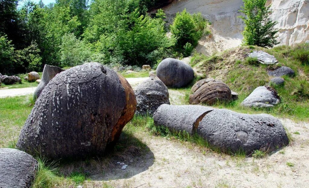 Сколько живет камень. Трованты живые камни Румынии. Камни Трованты. Растущие камни Трованты. Растущие камни в Румынии.