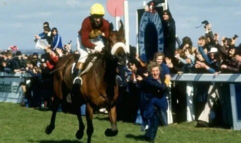 The horse won the race