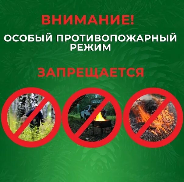 Противопожарный режим в москве. Пожароопасный период. Особый противопожарный режим. Противопожарный режим в москве. Противопожарный режим в москве.