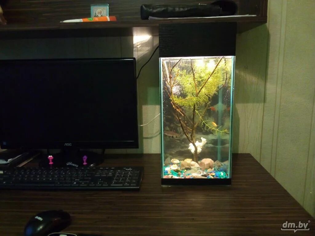 Аквариум 20 20 25. Аквариум 20 20 25. Аквариум голдфиш 60л. Аквариум 20 20 25. Аквариум 25 литров.