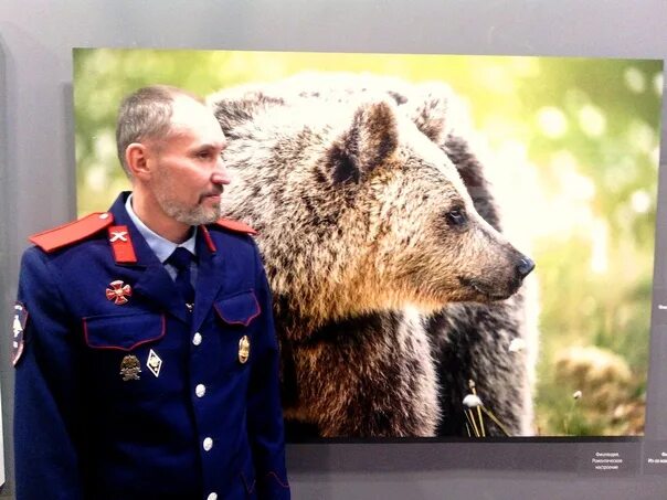 Не будите русского медведя стих текст полностью. Фролов не будите русского медведя стих. Стихотворение про русского медведя. Не будите русского медведя стихотворение. Про Россию и про русского медведя стихи.