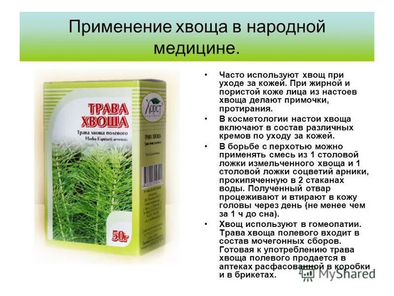 Укроп от кашля. Трава хвоща полевого препараты. Полевой хвощ трава инструкция. Настой травы хвоща полевого. Хвощ полевой 50гр.