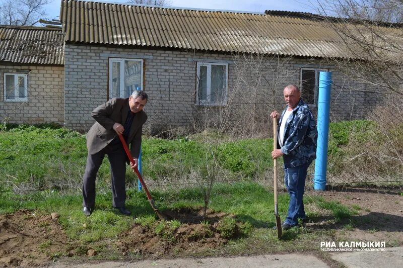 Погода калмыкия на неделю точный. Село садовое Сарпинский район. Поселок садовое Калмыкия. Совхоз садовый Калмыкия. Погода садовое.