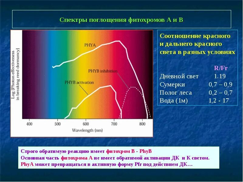 Спектр поглощения. Спектры поглощения света. Спектры поглощения пигментов. Спектр поглощения воды.
