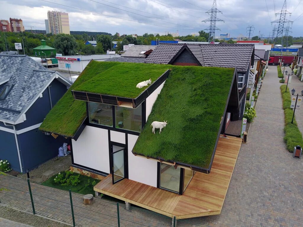 Эксплуатируемая плоская кровля Green Roof. Экстенсивная зеленая кровля. Экстенсивная зеленая кровля плоская. Кандинский зеленая кровля.