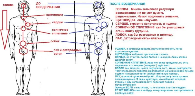 Солнечное сплетение. Боль в Солнечном плитение. Болит солнечное сплетение. Болит в районе солнечного сплетения.