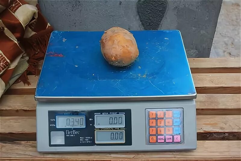 Вес 1 картофеля. Картофель вес. Вес 1 средней картофелины. Вес одной картофелины среднего размера. Вес средней картофелины отварной.