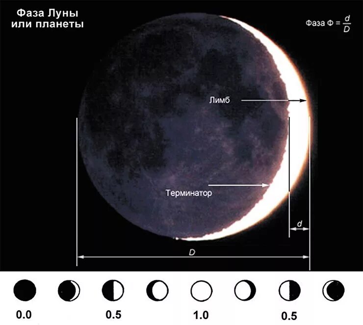 Противоположная сторона солнца. Граница освещенной и неосвещенной части Луны. Лимб астрономия. Лимб Луны. Фаза Луны лимб Терминатор.