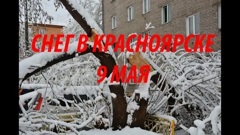 Красноярск в мае