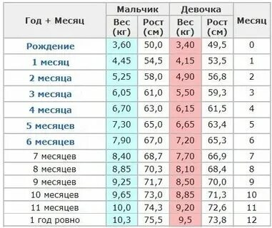 1 8 года это сколько месяцев