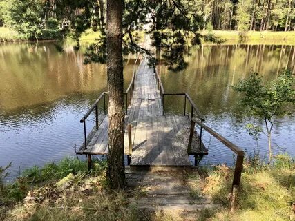 Орловское полесье озеро