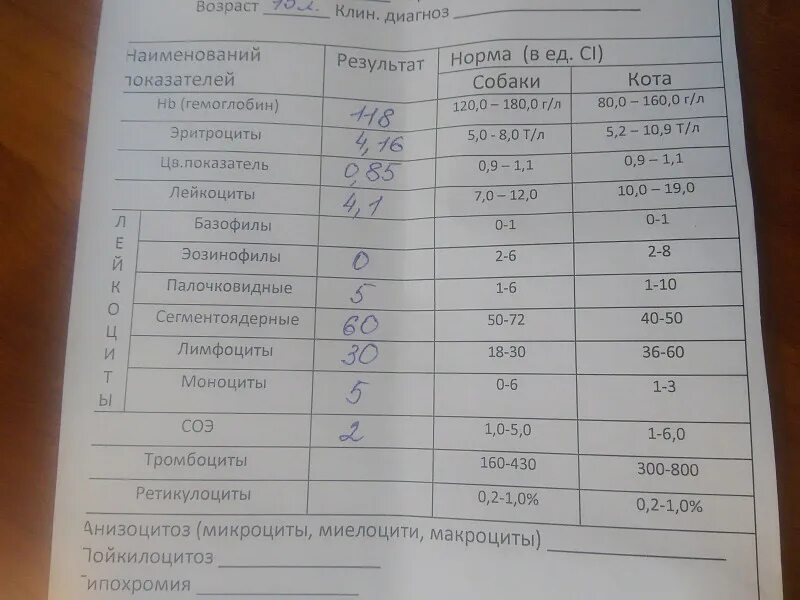 Плохой анализ крови. Общий анализ крови воспаление. Показатель воспалительного процесса в общем анализе крови. Анализ крови с ретикулоцитами. Общий анализ крови при раке