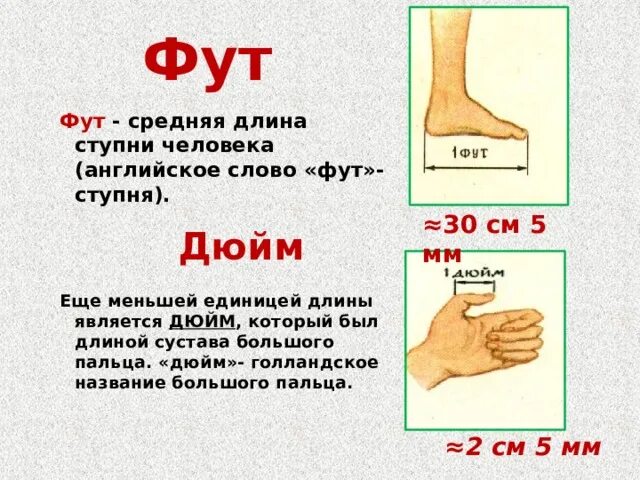 Сколько сантиметров в одном футе. Сколько сантиметров в одном футе