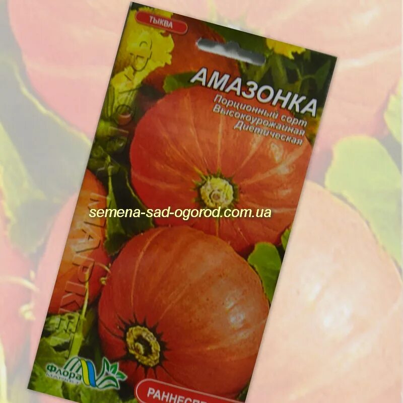 Тыква амазонка. Тыква кустовая амазонка. Кустовые сорта тыкв амазонка. Тыква амазонка. Тыква амазонка.