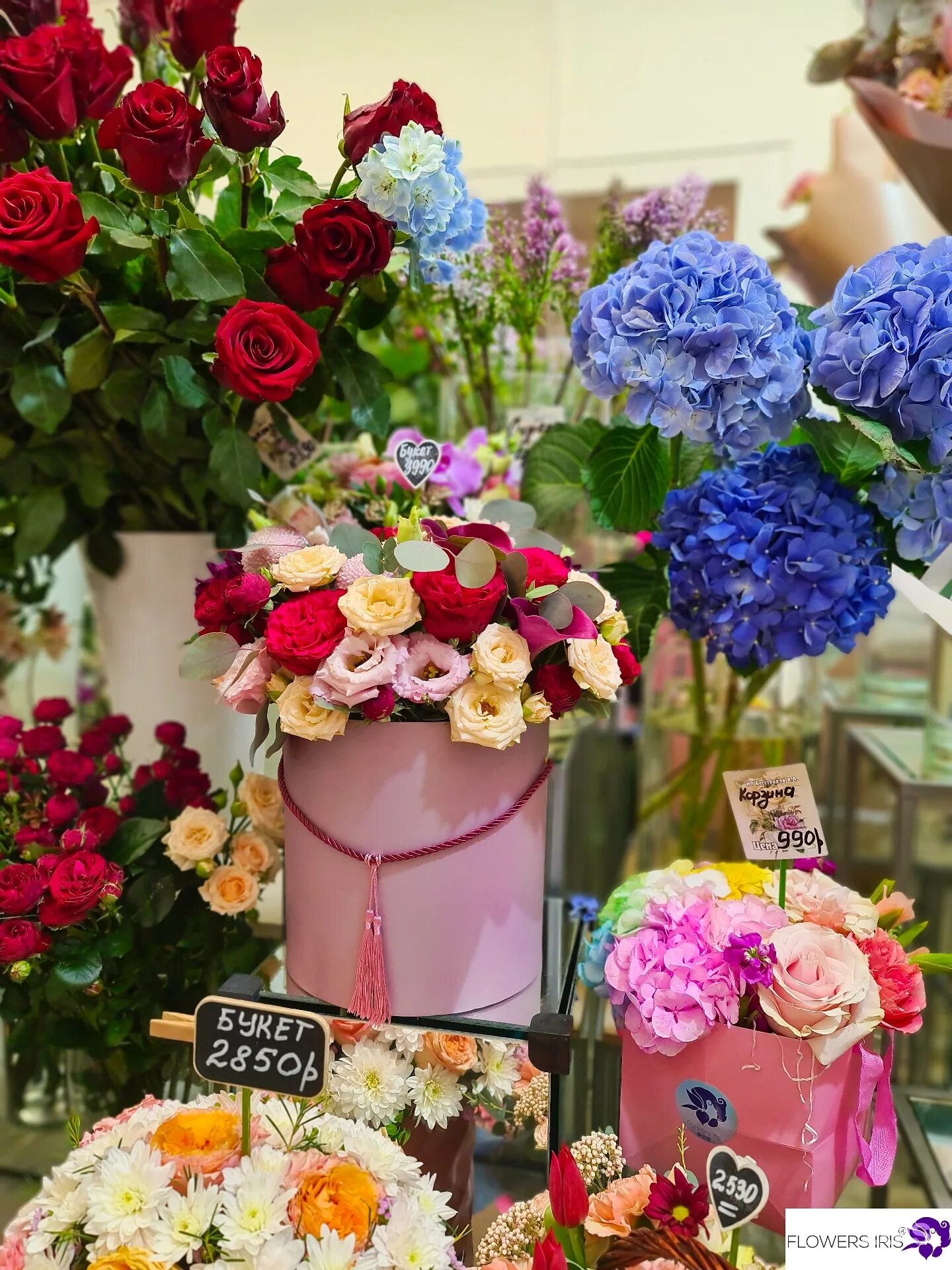 Исаакиевский собор весной сирень. Санкт-петербург исаакиевский собор тюльпаны. Цветы петербурга отзывы. Цветочный магазин сток. Казанский собор в санкт-петербурге пион.