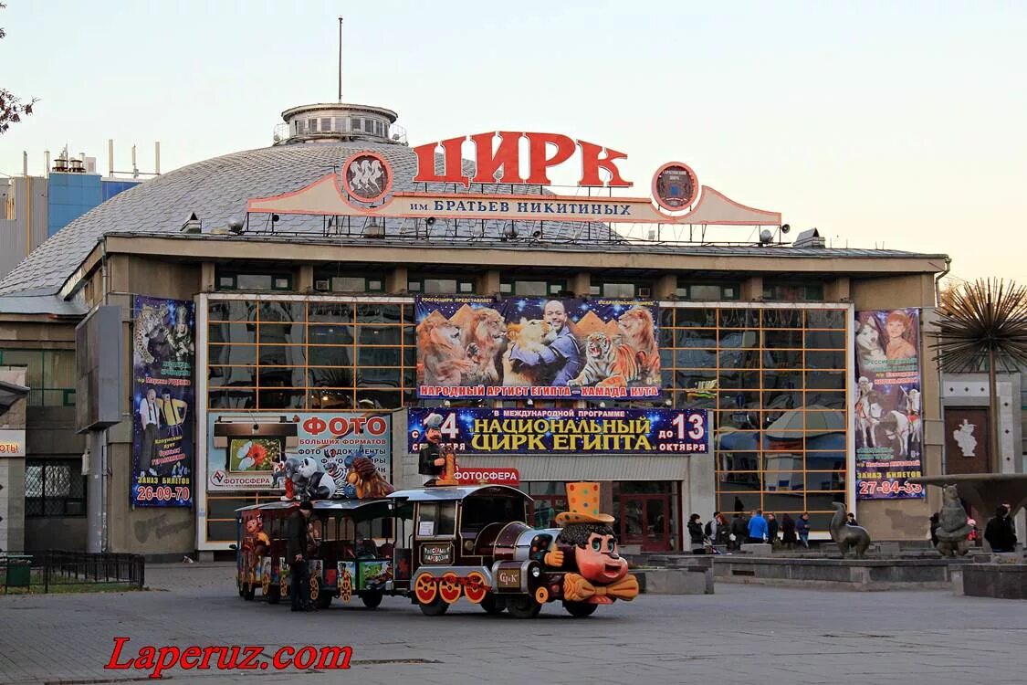 Цирк братьев никитиных саратов. Первый русский цирк братьев никитиных саратов. Саратовский государственный цирк имени братьев никитиных зал. Саратовский государственный цирк имени братьев никитиных, саратов. Город саратов цирк братьев никитиных.