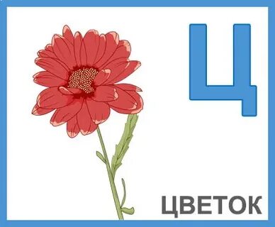 Буквы учить цветы