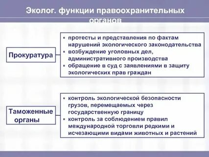 Природоохранная деятельность органов прокуратуры