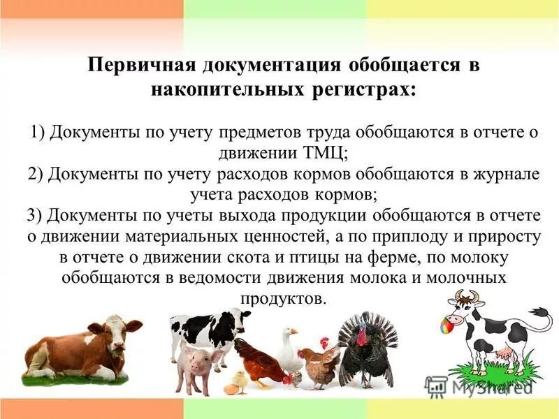 производство продукции животноводства схема. себестоимость продукции животноводства. схема производства продуктов животноводства. калькуляция себестоимости продукции животноводства. влияние факторов на себестоимость.