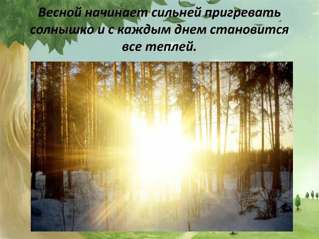 Солнце светит весной. Солнце светит ярко. Весной ярко светит солнце. Ярко светит солнышко. Пригревает яркое солнце