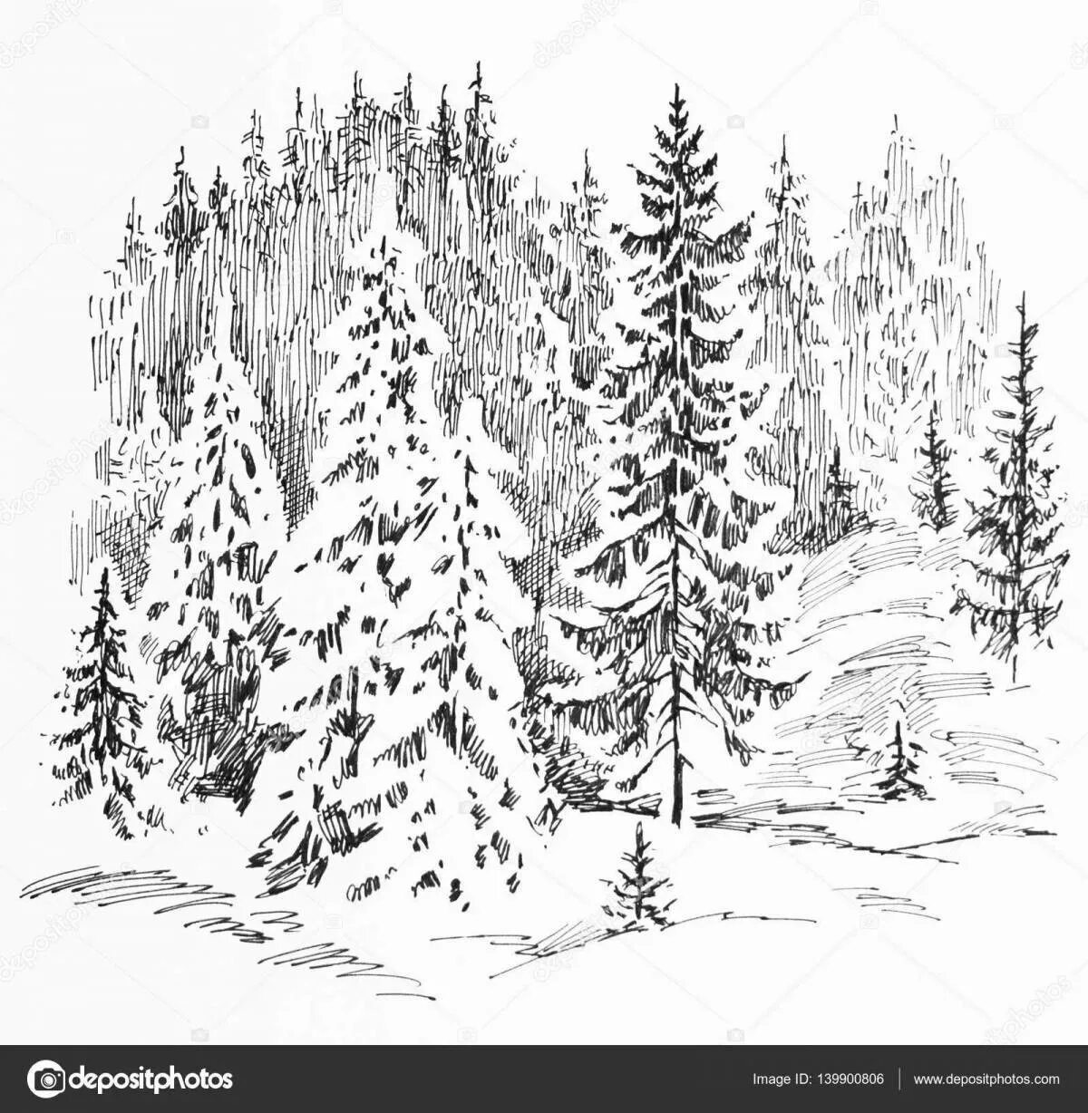 Pen & Ink - White Birch Card Tree drawing, Tree sketches, Ink pen drawings