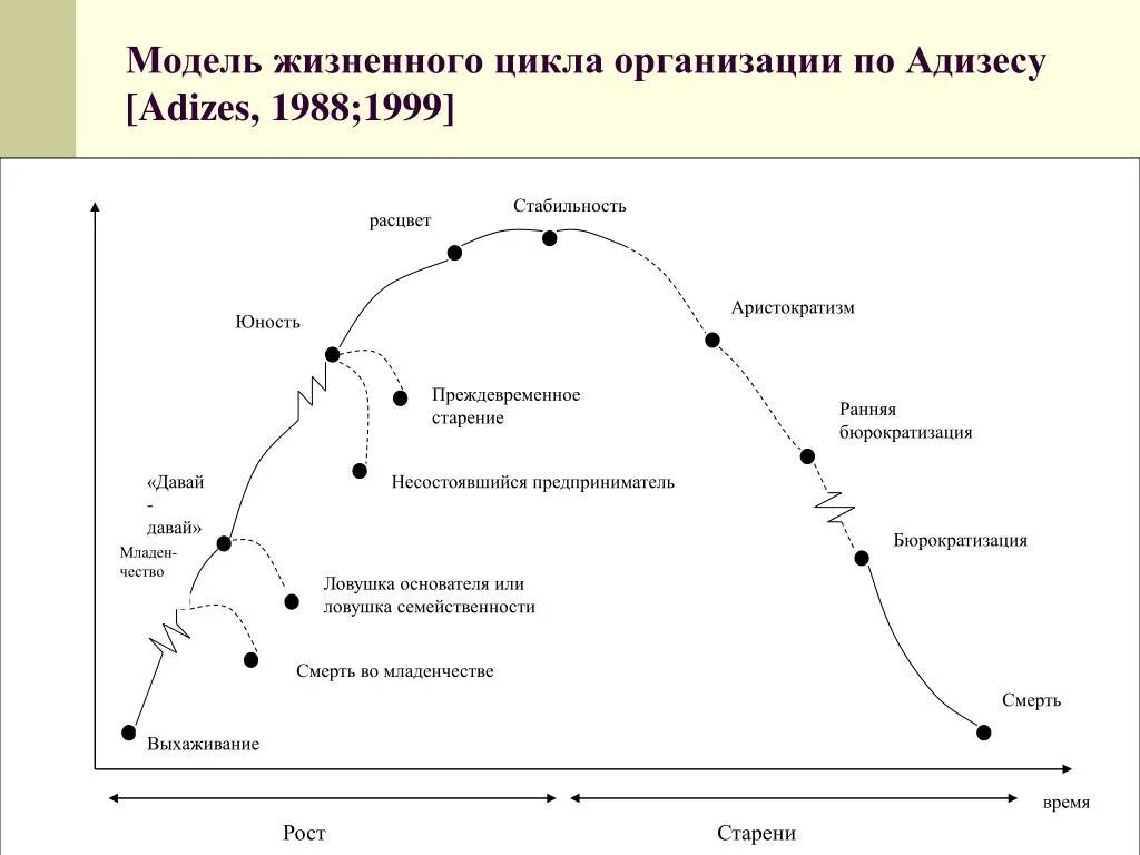 Жизненные стадии компании