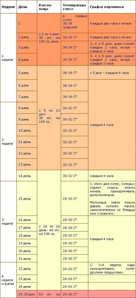 Сколько корма давать котенку в 1 месяц. Сколько должен съедать новорожденный котенок. График кормления новорожденного котенка. Таблица кормления новорожденного котенка. Как кормить котенка кормом