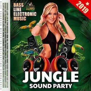 Sound party