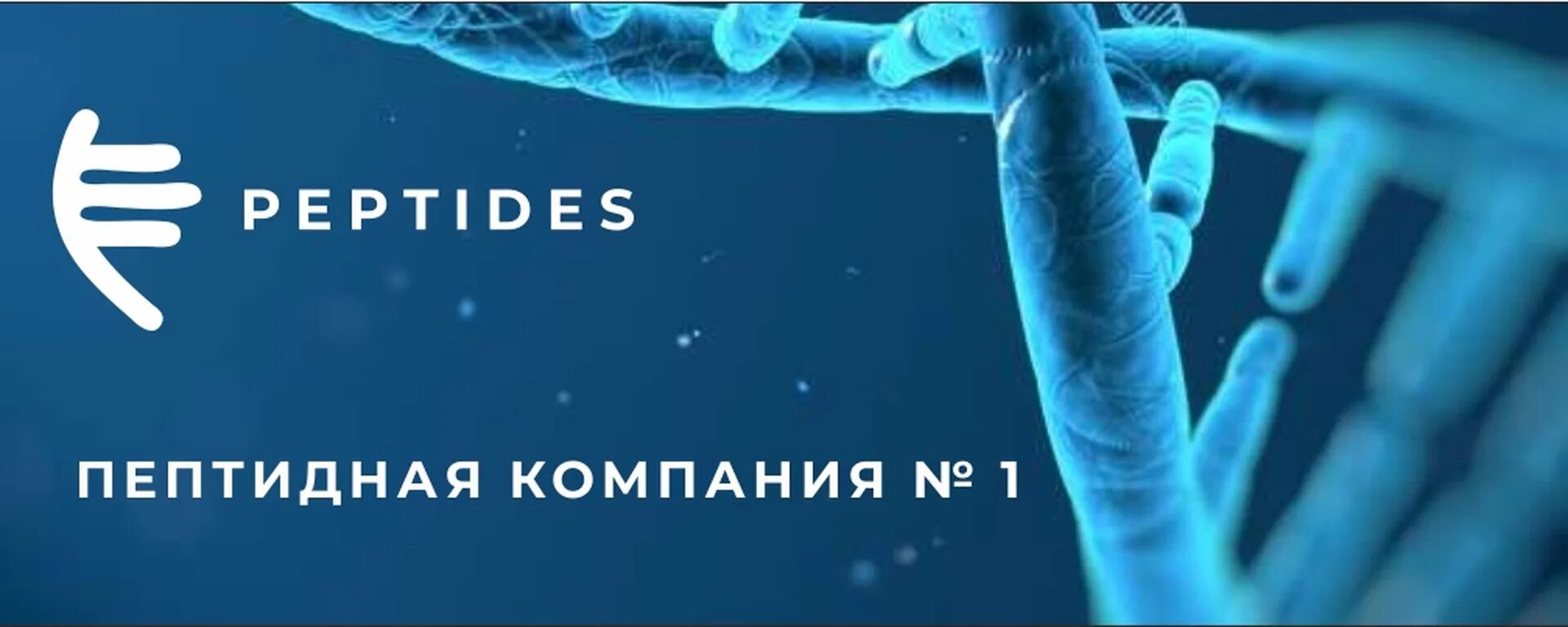 Пептиды в медицине для чего они. Компания peptides. логотип peptides. пептиды хавинсона. пептид logo.