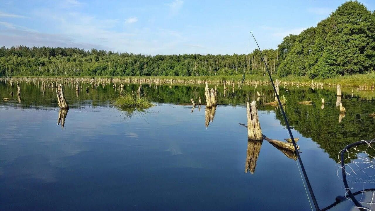 Оз коряжник. Коряжник фото. Озеро коряжник в рузском. В коряжнике. В коряжнике.