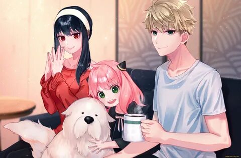 аниме, spy x family, шпион, х, семья.