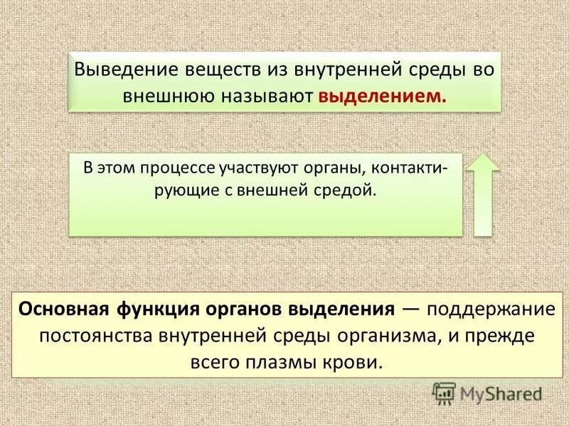 бактерии продуцирующие экзотоксины. какие вещества организм выделяет во внешнюю среду. конечные продукты метаболизма. состояние воды в клетке. основные конечные продукты обмена веществ у человека.