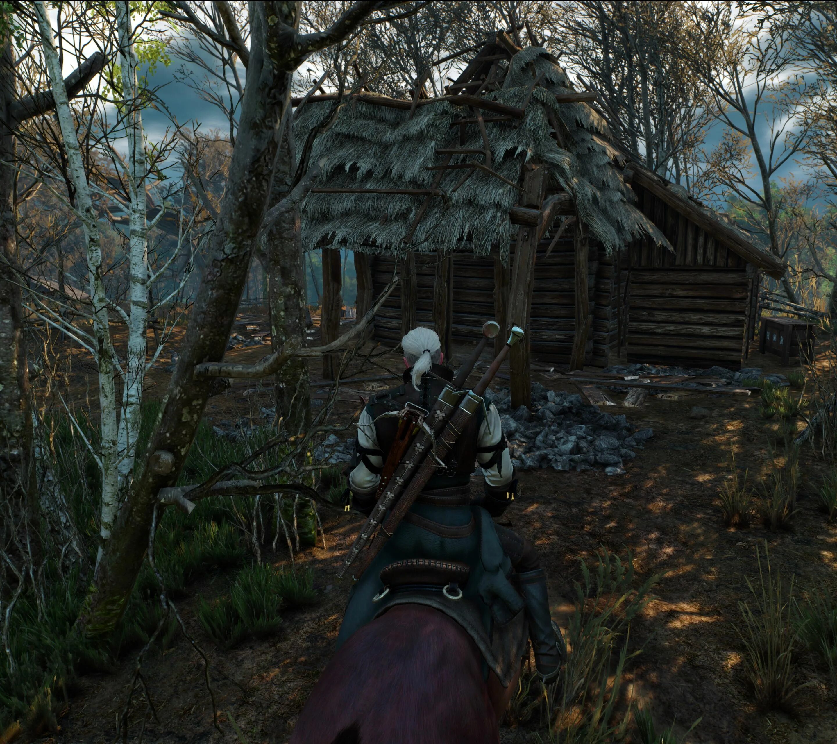 Witcher 3. Ведьмак 3 игра. Ведьмак Дикая охота. Ведьмак Дикая охота игра.