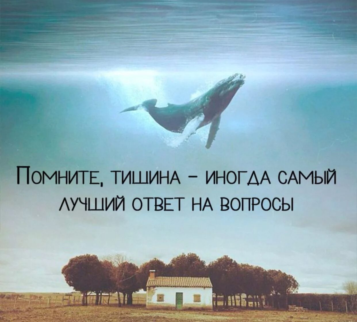 Все не верят что живу. Киты в небе. Летающий кит. Кит в небе арт. Верить в чудеса цитаты.