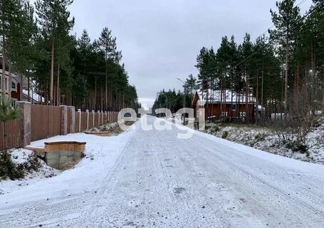 Осельки девяткино сегодня