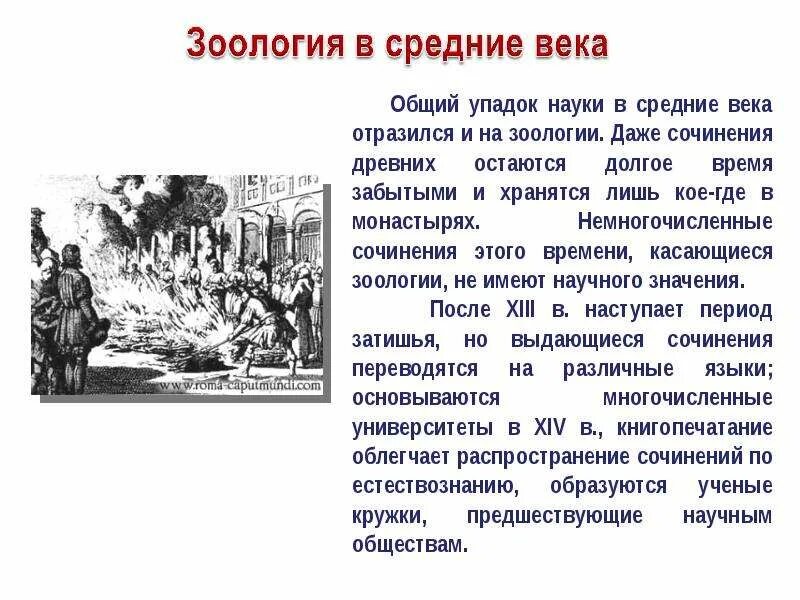 В которых отразился век. Средние века упадок науки. Развитие зоологии в средневековье. История развития зоологии. Упадок биологических знаний в средние века.