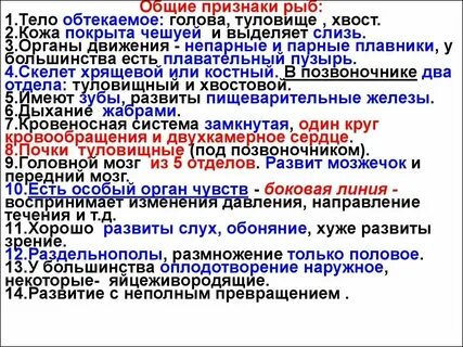 Рыбы признаки рыб 1 класс