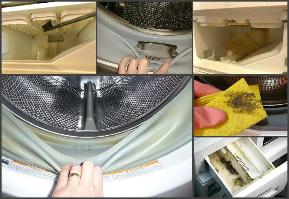 Плеснньв стиральной машине. Грибок в стиральной машинке. Резинка внутри стиральной машины. Грязь внутри барабана стиральной машины.