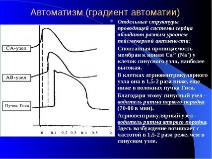 Градиент автоматии это