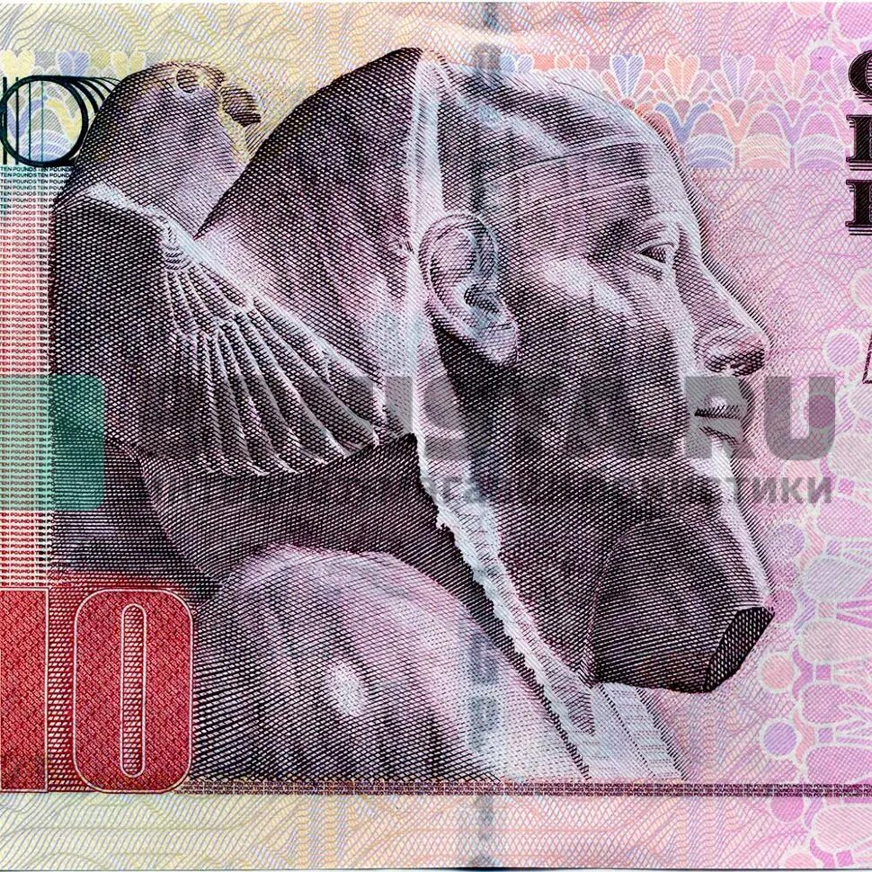 Валюта египта. 5 pounds египет купюра. Принимают ли в египте доллары 2006 года. Египетский фунт к рублю. Валюта египта курс.