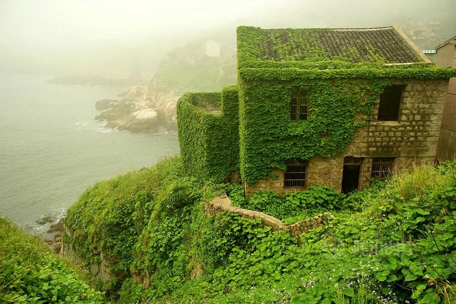 Abandoned village. Заброшенная деревня остров Шенгси. Рыбацкая деревня в Шенгси. Архипелаг Шенгси Китай заброшенная Рыбацкая деревня. Остров Шенгси зеленая деревня.