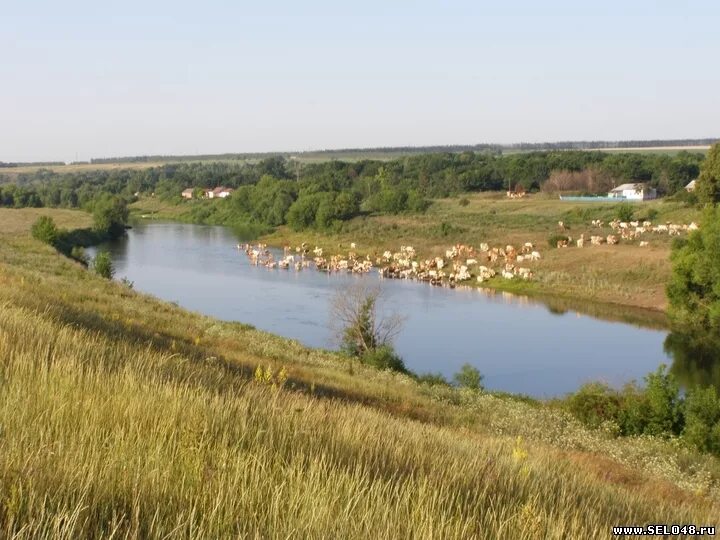 башкортостан калтасинский район село краснохолмский. калтасинский район село красный холм. село красный холм башкирия. село краснохолмский башкортостан. музей куликово поле село монастырщина.
