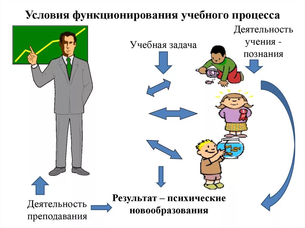 Функционирование организации закономерности. Условия функционирования образовательного процесса. Условия функционирования учебно воспитательного процесса. Условий функционирования образовательных систем. Внешние и внутренние условия обучения.