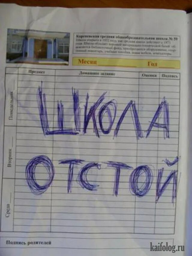 Мбоу сош отстой. Школа отстой песня. Школа отстой песня. Школа отстой. Полный отстой картинки.