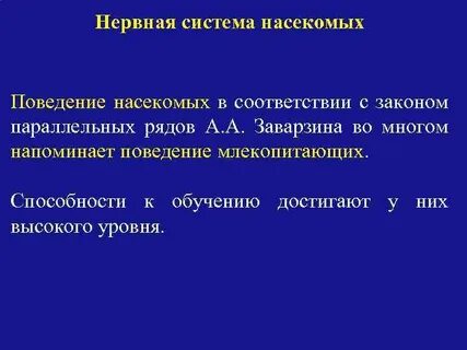 Наивысшего развития нервная система достигла у