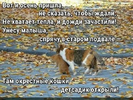 Неожиданно пришла