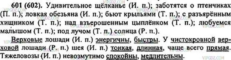 Удивительное щелканье заботятся о птенчиках ловкая обезьяна. 601 Номер по русскому языку. Русский язык 5 класс номер 601. Русский язык 5 класс ладыженская 2 часть номер 601. Русский язык 5 класс ладыженская 601 упражнение.