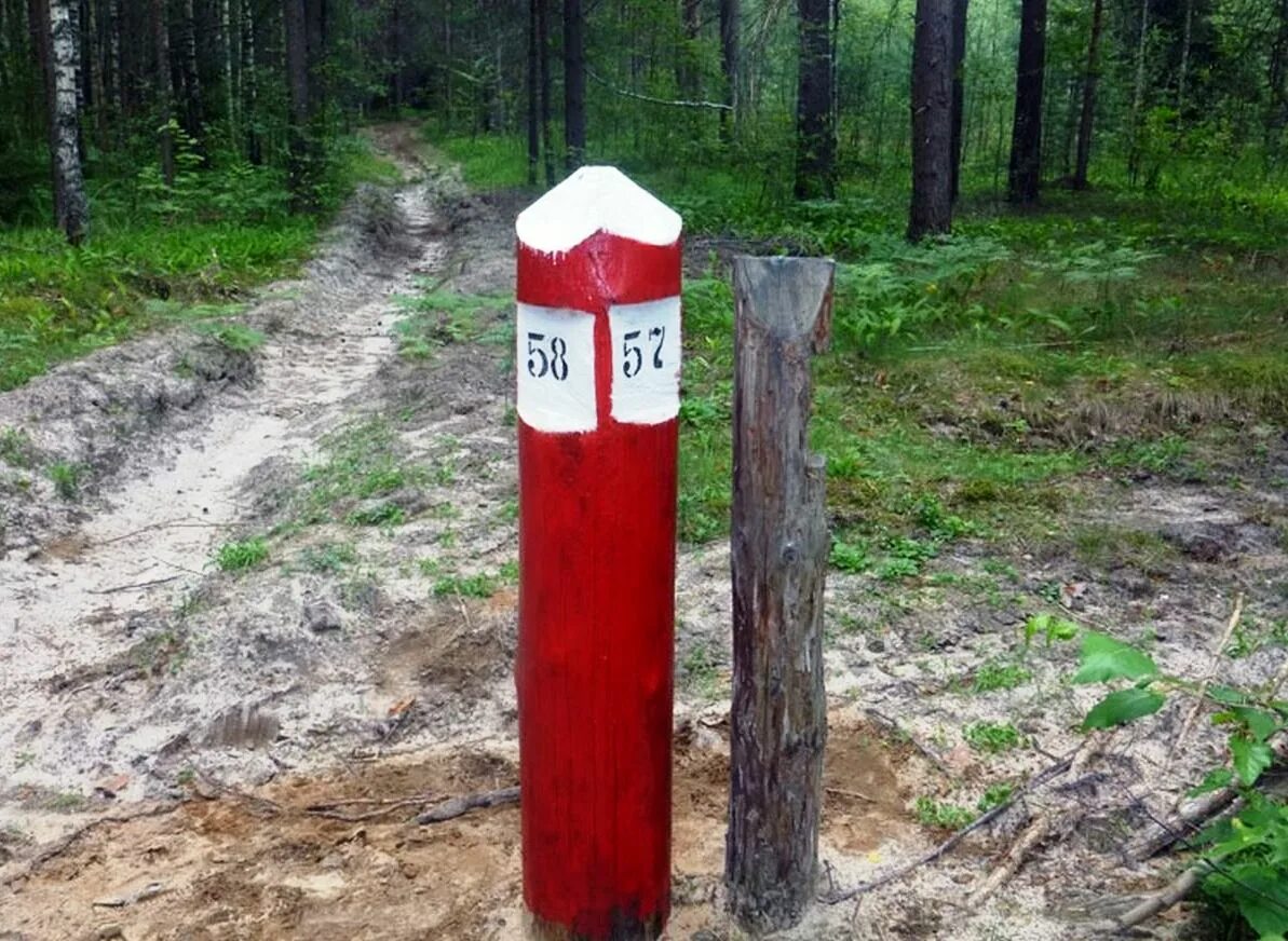 Столбовая красный. ОСТ 56-44-80 знаки натурные лесоустроительные и лесохозяйственные. Квартальный столб в лесу. Столбики в лесу. Квартальные столбики в лесу.