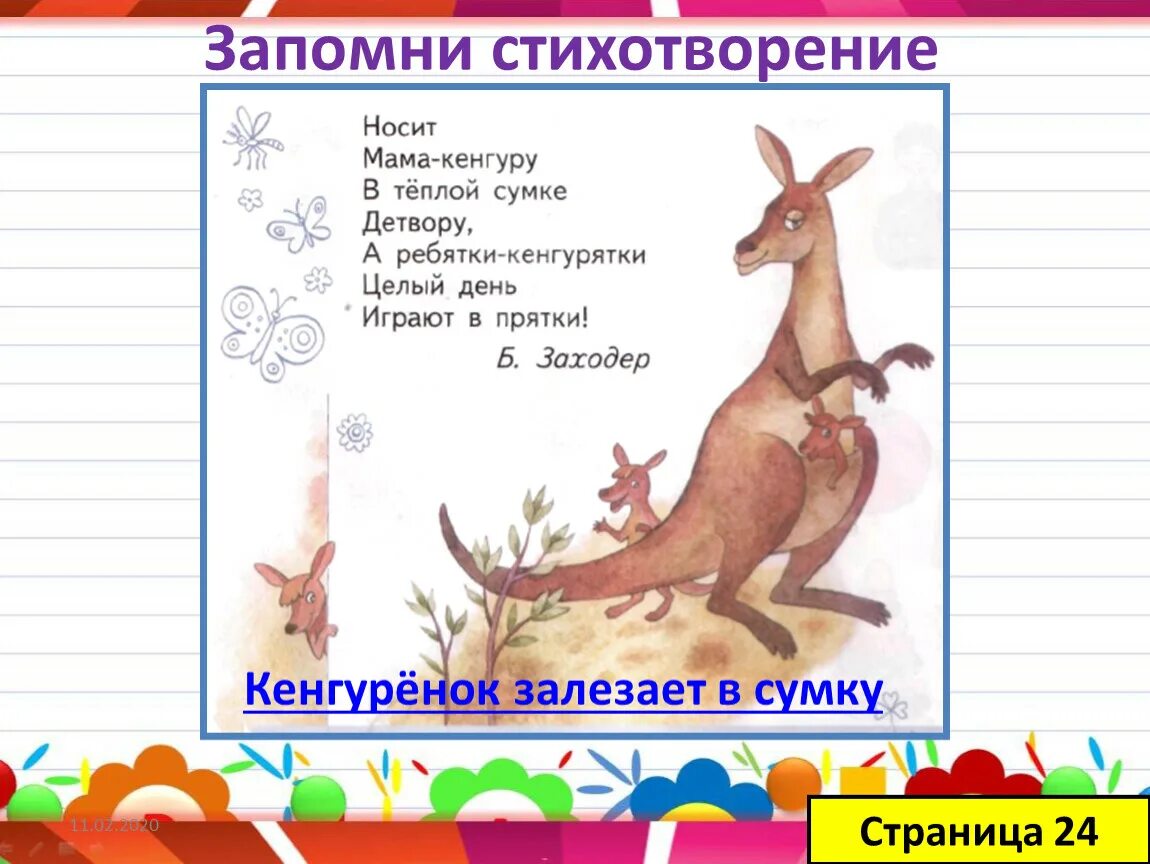 Кенгуру данди. Фотографии австралии с кенгурушками. Мама кенгуру бежала. Московский зоопарк кенгуру. 2 кенгуру.